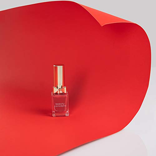 Beauty Concepts Holiday Nail Polish Gift Set- 5 Piece Nail Polish Set in Gift Box