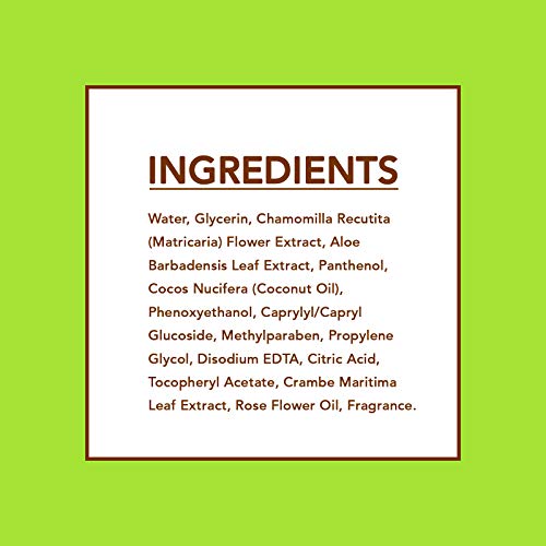 Essential Oils - 2 Pack (60 Count Each) Coconut and Kale Facial Cleansing Wipes