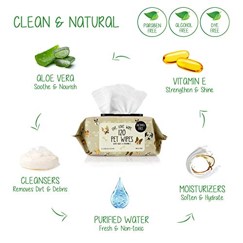 Precious Tails Pet Wipes (120 Count) - Extra Gentle Deodorizing Dog Grooming Wipes with Aloe Vera and Vitamin E, Alcohol Free - Fresh Scent (Live. Love. Wipe.)