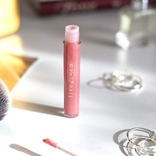 Live Green 5 Pc Lip Gloss Collection, Gift Set with Five Different Shade Lip Glosses, Holiday Gift Set for Women and Girls, Warm Color Shades