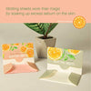 Live Green 4 Pack of Blotting Sheets
