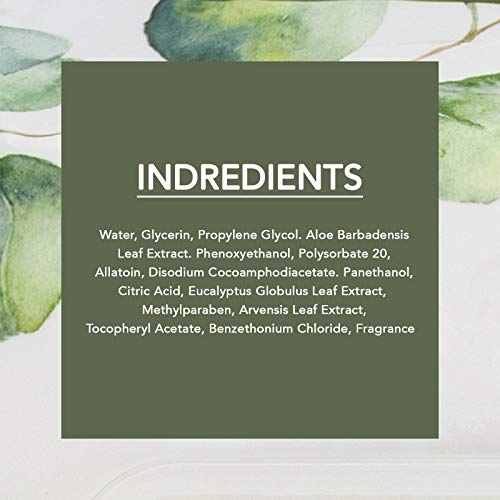 Body Prescriptions 2 Pack (60 Count Each) Eucalyptus and Mint Facial Cleansing and Gentle Make Up Remover Wipes Flip Top Pack