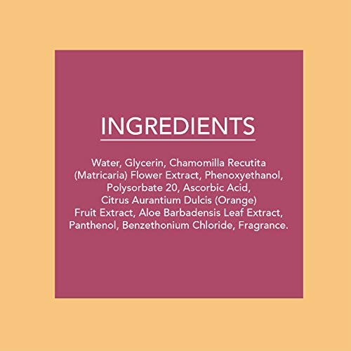 Beauty Concepts - 2 Pack (60 Count Each) Vitamin C Facial Wipes