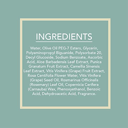 Beauty Concepts - 2 Pack (60 Count Each) Cucumber Aloe Facial Cleansing Wipes