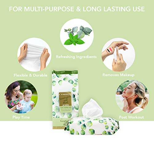 Body Prescriptions 2 Pack (60 Count Each) Eucalyptus and Mint Facial Cleansing and Gentle Make Up Remover Wipes Flip Top Pack