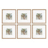 Sheffield Home Decor Collection- 6 Piece Picture Frame Set 8x8in, Matted to 4x4in