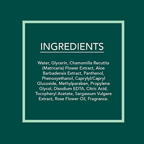 Essential Oils - 2 Pack (60 Count Each) Aloe and Seaweed Facial Cleansing Wipes