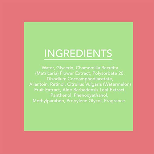 Beauty Concepts - 2 Pack (60 Count Each) Slice of Summer watermelon Detoxifying Facial Wipes