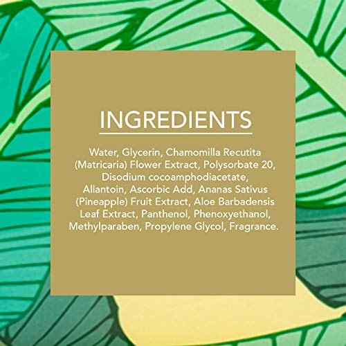 Beauty Concepts -2 Pack (60 Count Each) Pineapple with Aloe & Vitamin C Home Grown Picked Fresh Detoxifying Wipes