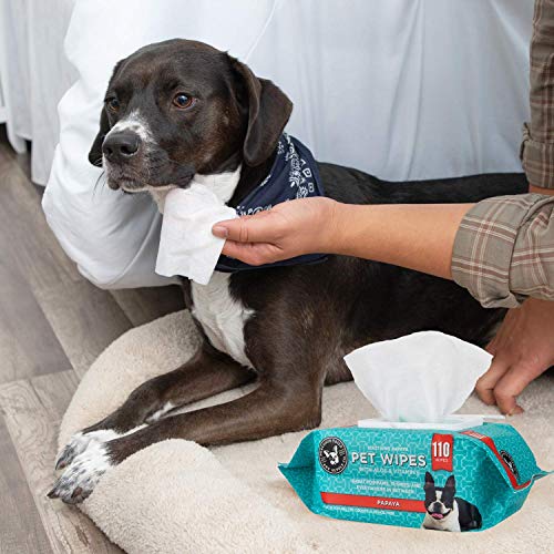 Precious Tails Pet Wipes (110 Count) -Soothing Deodorizing Dog Grooming Wipes with Aloe Vera and Vitamin E - Papaya Scent