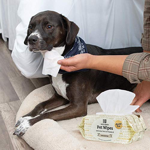 Precious Tails Pet Wipes (110 Count) - Extra Gentle Deodorizing Dog Grooming Wipes with Aloe Vera and Vitamin E - Unscented (Sayings on Packaging)
