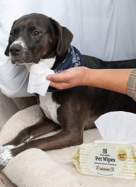 Precious Tails Pet Wipes (110 Count) - Extra Gentle Deodorizing Dog Grooming Wipes with Aloe Vera and Vitamin E - Unscented (Sayings on Packaging)