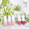 Beauty Concepts Nail Polish Collection - 5 Assorted Trendy Pink Nail Polish Colors