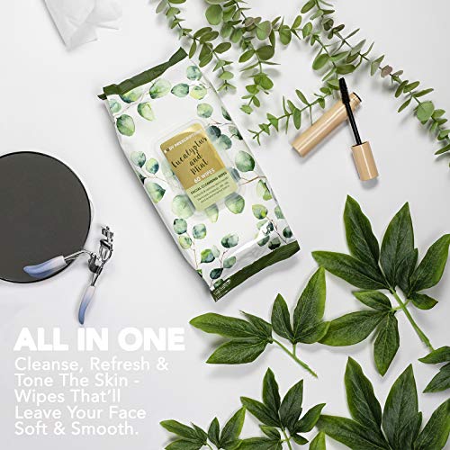 Body Prescriptions 2 Pack (60 Count Each) Eucalyptus and Mint Facial Cleansing and Gentle Make Up Remover Wipes Flip Top Pack