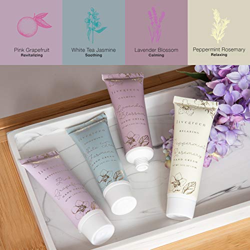 Hand Cream Collection - Set of 4 moisturizing hand creams by Live Green