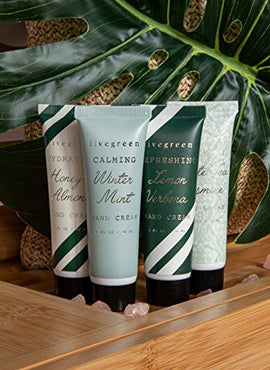 Aroma Therapy Cream Set in Honey & Almond, Winter Mint, White Tea Jasmine, and Lemon by Live Green