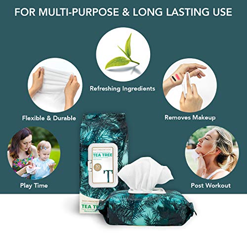 Body Prescriptions 2 Pack (50 Count Each) Tea Tree Facial Cleansing and Gentle Make Up Remover Wipes Flip Top Pack