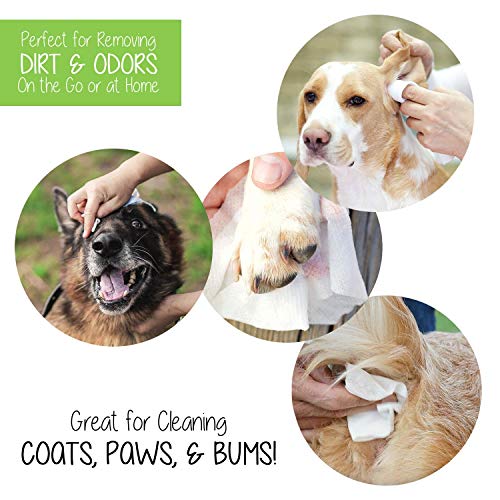 Precious Tails Pet Wipes (110 Count) - Extra Gentle Deodorizing Dog Grooming Wipes with Aloe Vera and Vitamin E - Baby Powder Scent