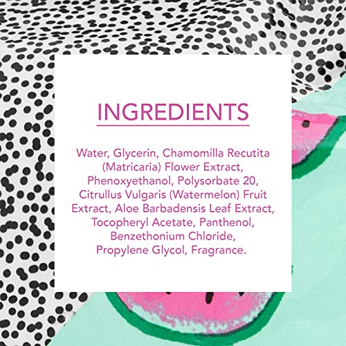 Beauty Concepts - 2 Pack (60 Count Each) Watermelon Detoxifying Facial Cleansing Wipes