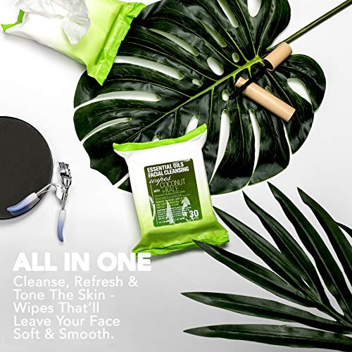 Essential Oils Detoxifying Facial Cleansing Makeup Remover Wipes 2 Pack (60 Count)