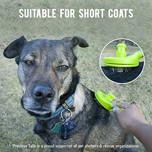 Precious Tails Retractable Slicker Brush for Cats and Dogs, Pet Hair Brush, Grooming Brush with Soft Grip Handle (Green and Gray)