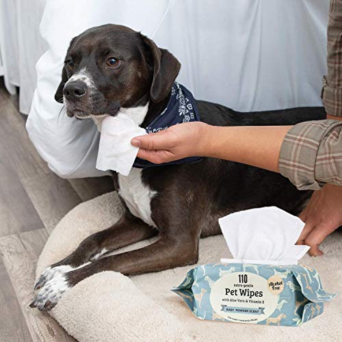Precious Tails Pet Wipes (110 Count) - Extra Gentle Deodorizing Dog Grooming Wipes with Aloe Vera and Vitamin E - Baby Powder Scent