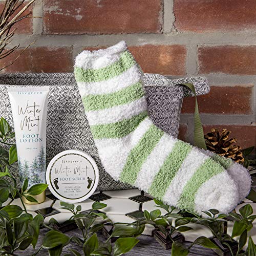 Live Green Bath and Body Gift Set- Foot Spa Set with Fuzzy Socks, Lotion, and Scrub