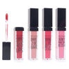 Beauty Concepts 4 Pack Matte Liquid Lipstick Collection