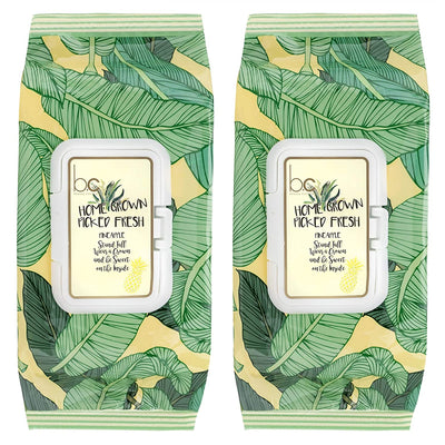Beauty Concepts -2 Pack (60 Count Each) Pineapple with Aloe & Vitamin C Home Grown Picked Fresh Detoxifying Wipes